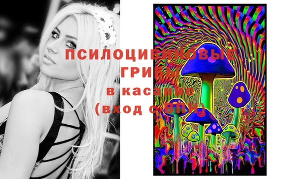 марки lsd Белокуриха