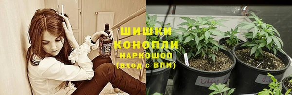 гашишное масло Беломорск